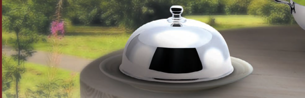 DOME CLOCHE